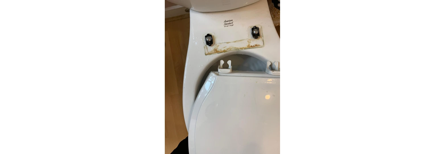 Living room after cleaning