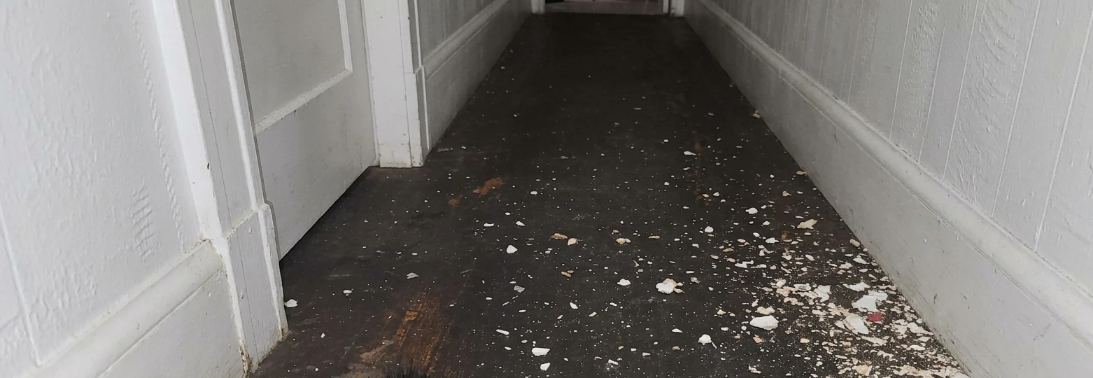 Kitchen after cleaning